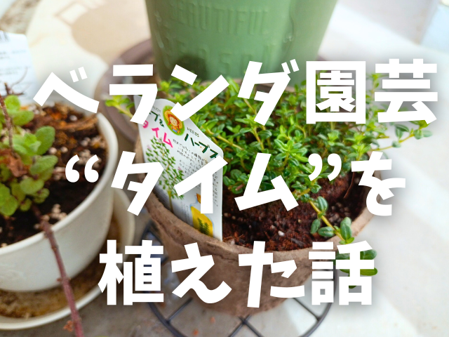 ベランダ園芸でタイムを植えた話